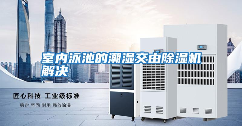 室內泳池的潮濕交由除濕機解決