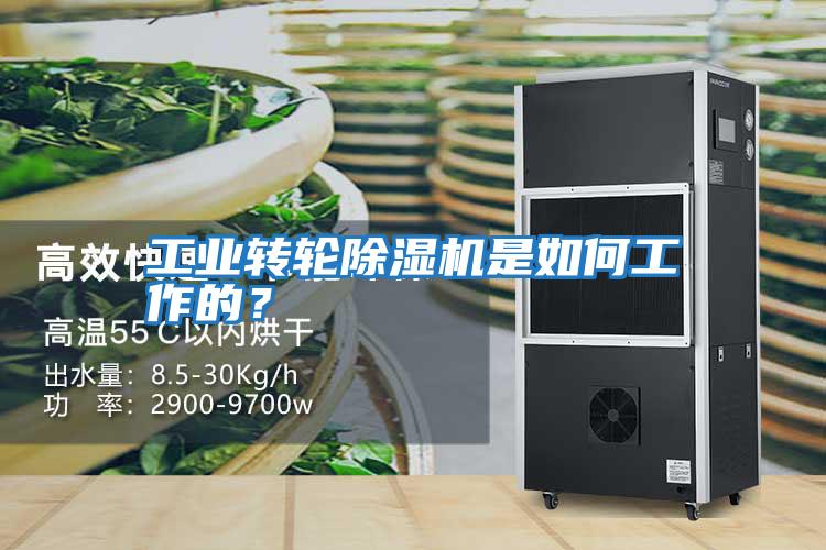 工業轉輪除濕機是如何工作的?