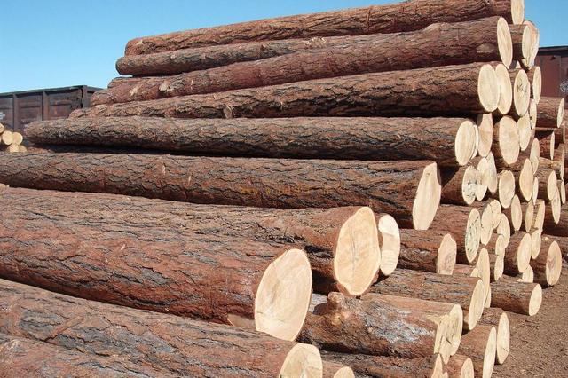 1570437591960017.jpg 圖片1.jpg