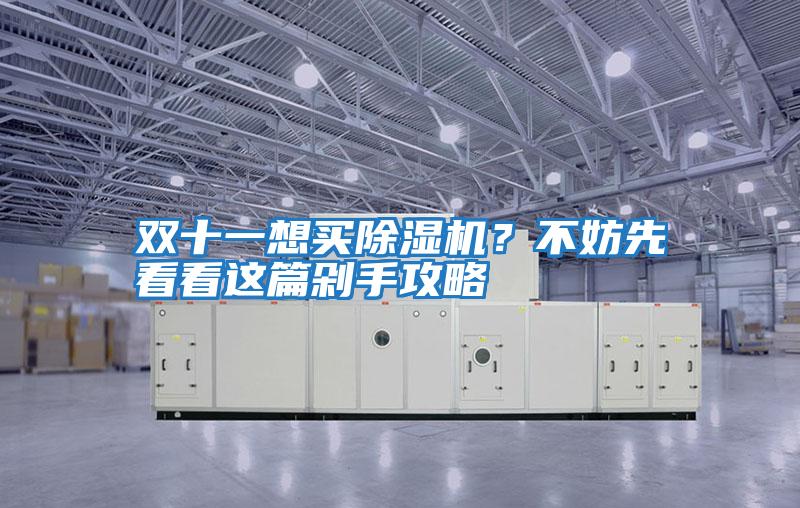 雙十一想買除濕機(jī)?不妨先看看這篇剁手攻略