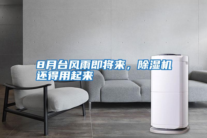 8月臺(tái)風(fēng)雨即將來(lái),除濕機(jī)還得用起來(lái)