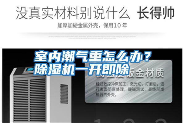 室內(nèi)潮氣重怎么辦?除濕機一開即除