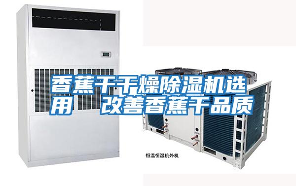 香蕉干干燥除濕機(jī)選用 改善香蕉干品質(zhì)