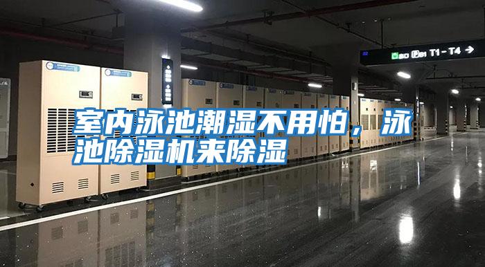 室內泳池潮濕不用怕,泳池除濕機來除濕