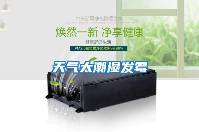 天氣太潮濕發霉