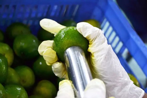 1527217457195865.jpg 小青柑掏空.jpg