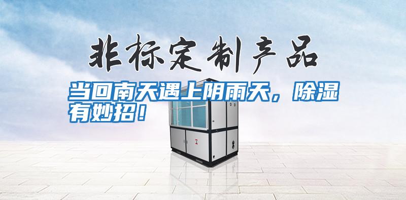 當(dāng)回南天遇上陰雨天，除濕有妙招！