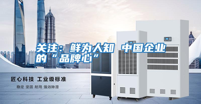 關(guān)注:鮮為人知 中國(guó)企業(yè)的“品牌心”