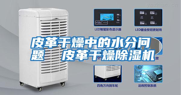 皮革干燥中的水分問(wèn)題 皮革干燥除濕機(jī)