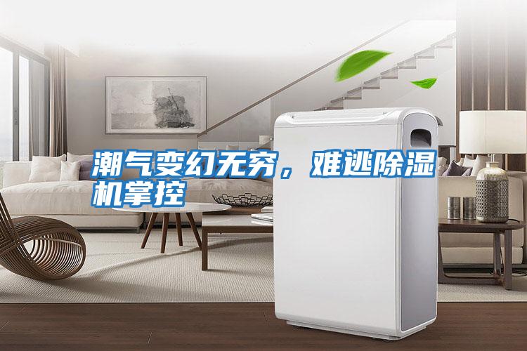 潮氣變幻無窮,難逃除濕機掌控