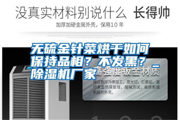 無硫金針菜烘干如何保持品相？不發(fā)黑？_除濕機廠家