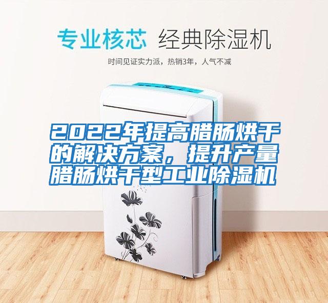 2022年提高臘腸烘干的解決方案,提升產(chǎn)量臘腸烘干型工業(yè)除濕機