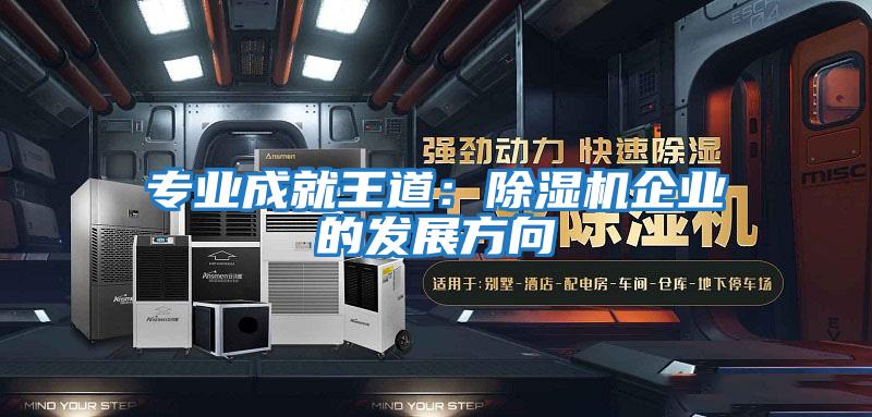 專業(yè)成就王道:除濕機(jī)企業(yè)的發(fā)展方向