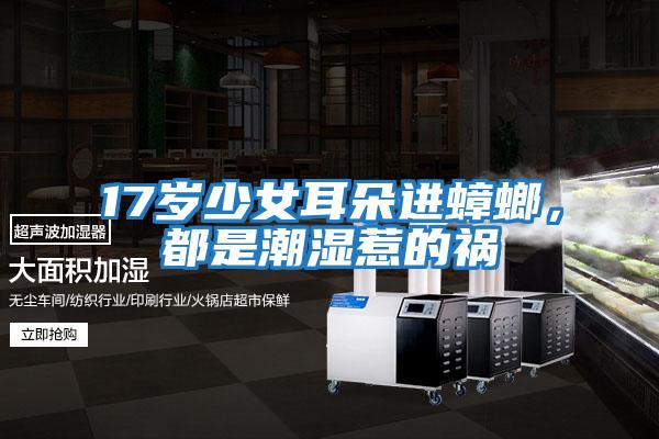 17歲少女耳朵進蟑螂，都是潮濕惹的禍