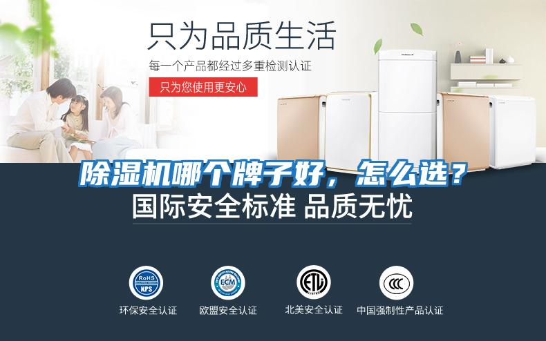 除濕機(jī)哪個(gè)牌子好,怎么選?