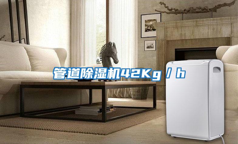 管道除濕機42Kg/h