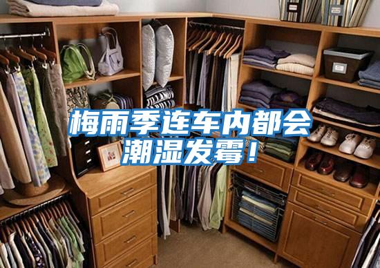 梅雨季連車內都會潮濕發霉！