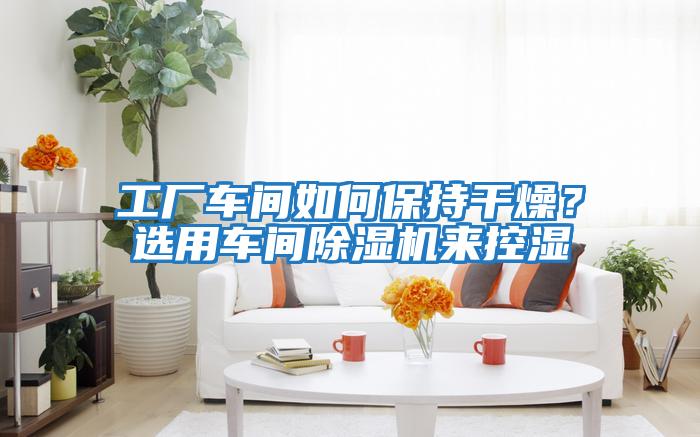 工廠車間如何保持干燥?選用車間除濕機來控濕