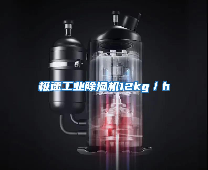 極速工業(yè)除濕機(jī)12kg/h
