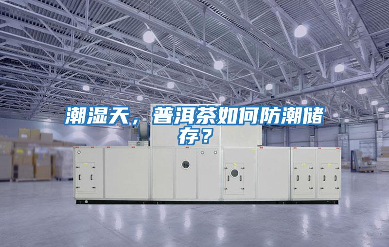 潮濕天，普洱茶如何防潮儲存？