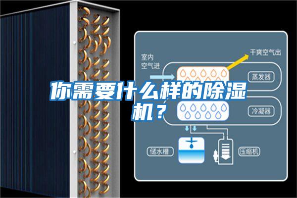 你需要什么樣的除濕機?