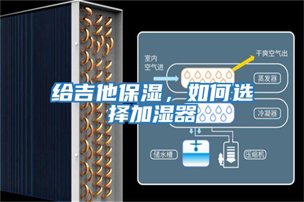 給吉他保濕，如何選擇加濕器