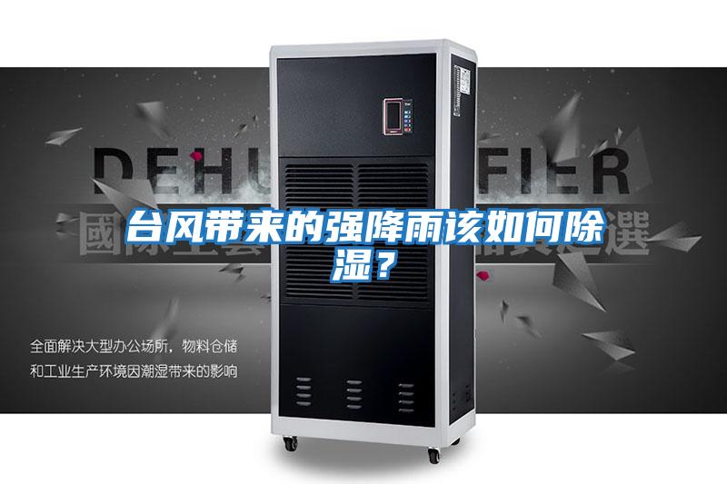 臺風(fēng)帶來的強降雨該如何除濕?