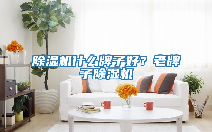 除濕機(jī)什么牌子好?老牌子除濕機(jī)