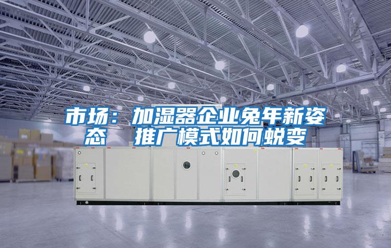 市場:加濕器企業(yè)兔年新姿態(tài) 推廣模式如何蛻變