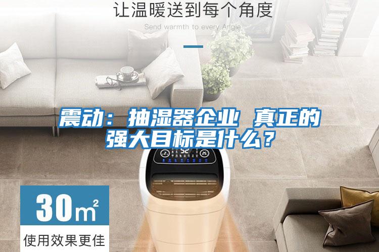 震動:抽濕器企業(yè) 真正的強大目標(biāo)是什么?