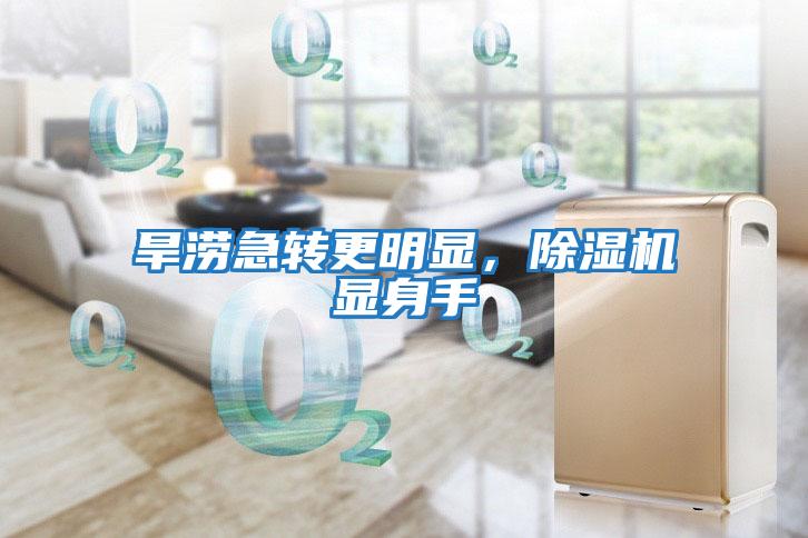 旱澇急轉(zhuǎn)更明顯，除濕機(jī)顯身手