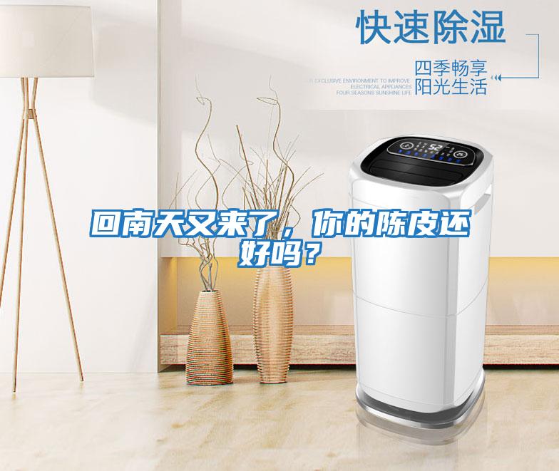 回南天又來(lái)了，你的陳皮還好嗎？