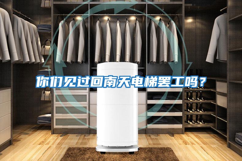 你們見過回南天電梯罷工嗎?