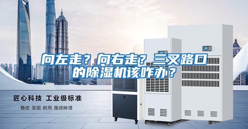 向左走？向右走？三叉路口的除濕機該咋辦？