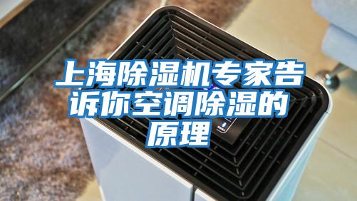 上海除濕機專家告訴你空調除濕的原理