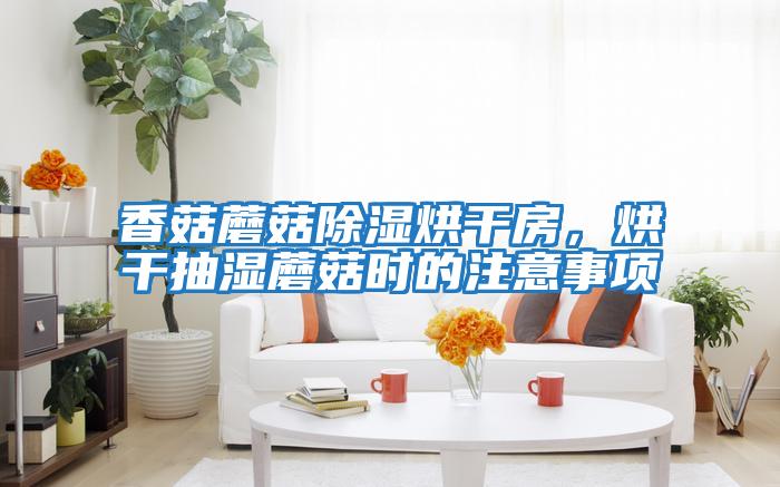 香菇蘑菇除濕烘干房，烘干抽濕蘑菇時的注意事項