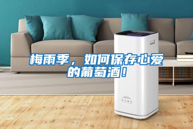 梅雨季，如何保存心愛的葡萄酒！