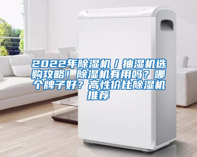 2022年除濕機／抽濕機選購攻略！除濕機有用嗎？哪個牌子好？高性價比除濕機推薦