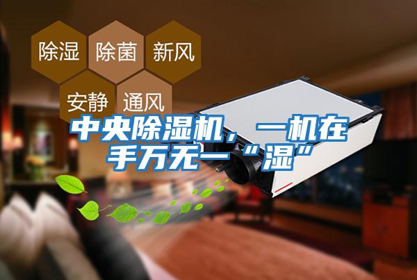 中央除濕機，一機在手萬無一“濕”