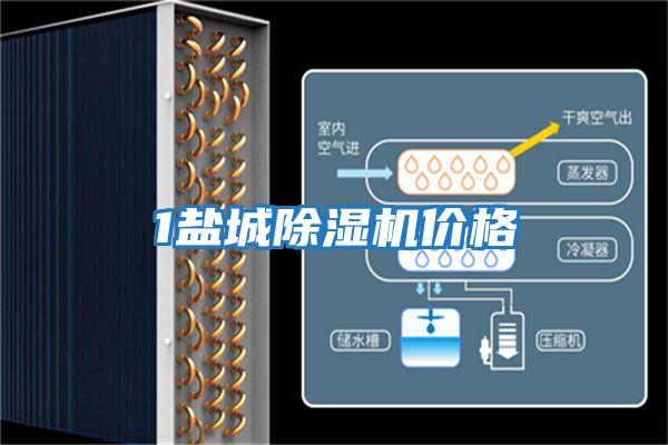 1鹽城除濕機價格