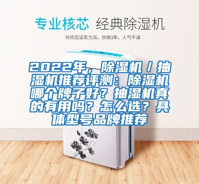 2022年，除濕機／抽濕機推薦評測：除濕機哪個牌子好？抽濕機真的有用嗎？怎么選？具體型號品牌推薦