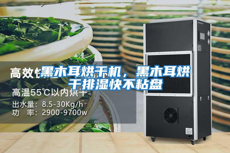 黑木耳烘干機(jī),黑木耳烘干排濕快不粘盤