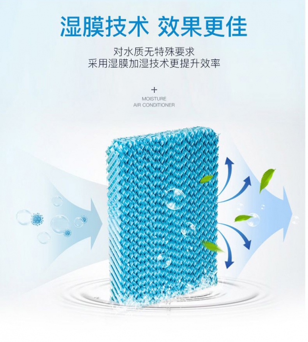 秋季祛濕吃什么好?