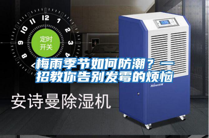 梅雨季節(jié)如何防潮?一招教你告別發(fā)霉的煩惱