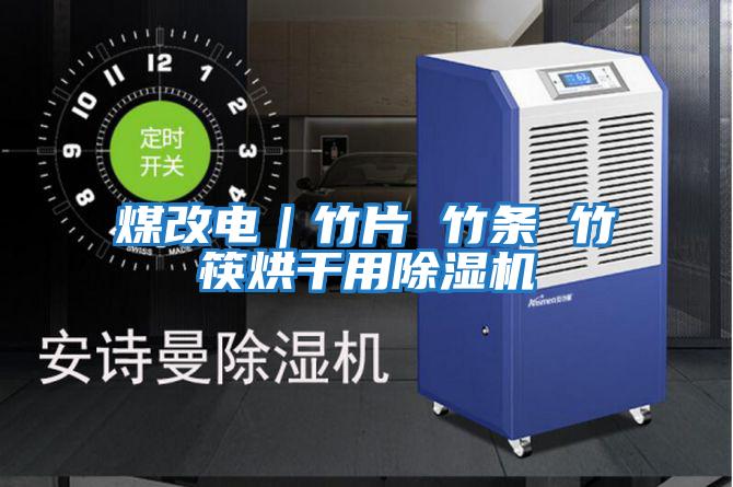 煤改電|竹片 竹條 竹筷烘干用除濕機(jī)
