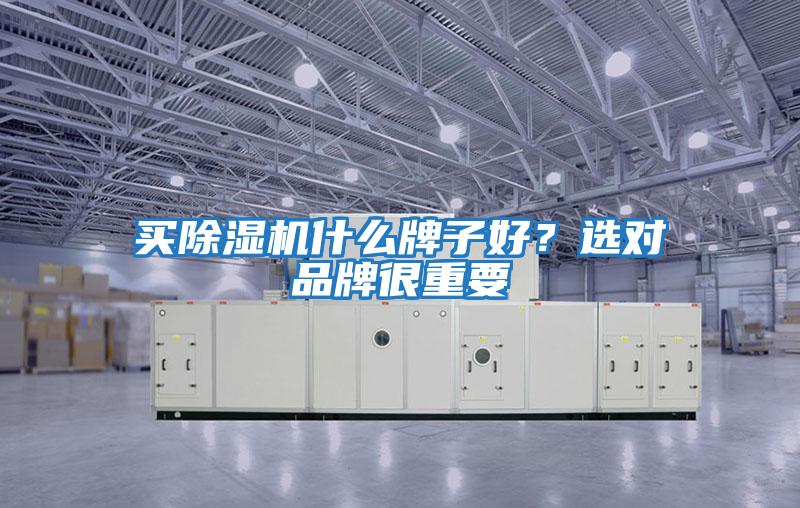 買除濕機什么牌子好？選對品牌很重要