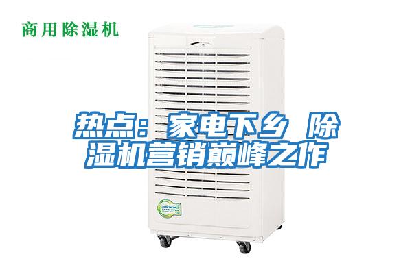 熱點:家電下鄉(xiāng) 除濕機營銷巔峰之作