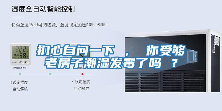 捫心自問一下 ， 你受夠老房子潮濕發(fā)霉了嗎 ？