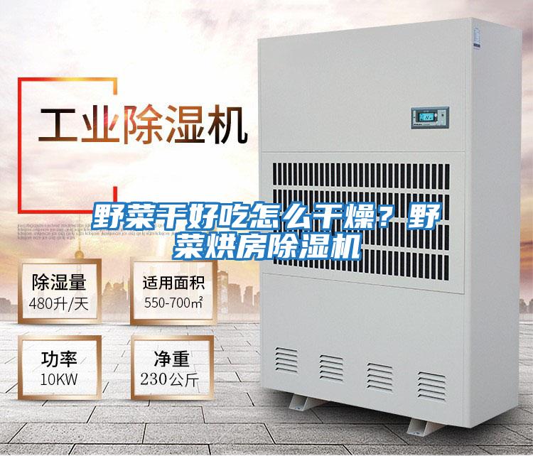 野菜干好吃怎么干燥？野菜烘房除濕機
