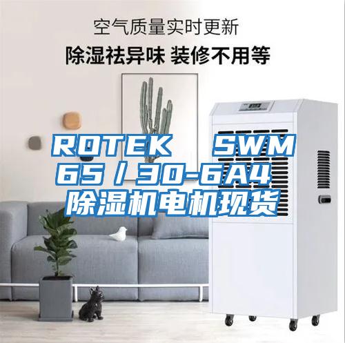 ROTEK SWM65/30-6A4 除濕機電機現貨
